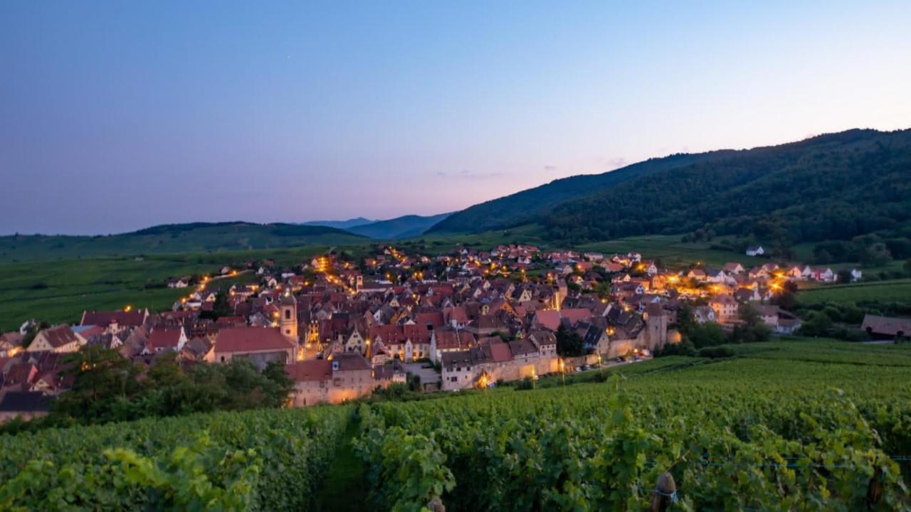 Chez Chris & Ju Apartment Biesheim Екстериор снимка